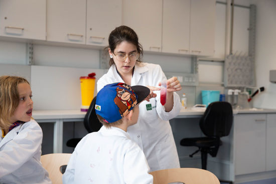 Erdbeer DNA sichtbar machen