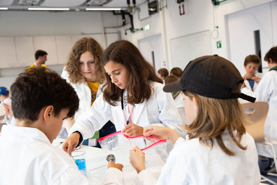 Gemeinsame Experimente